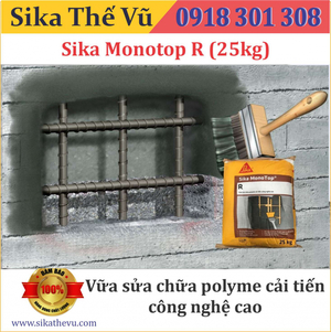 Sika Monotop R